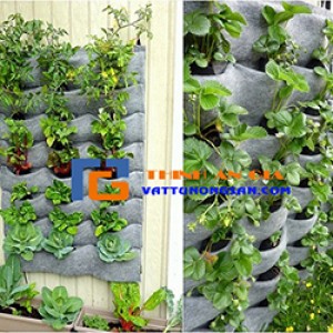 Tủi vải trồng cây - Giải pháp trồng rau cho không gian nhà chật, hẹp