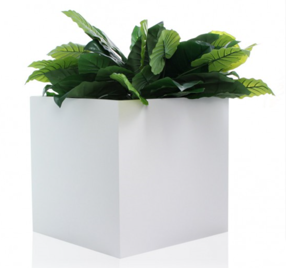 stand-design-various-colored-nice-plant-pot.png