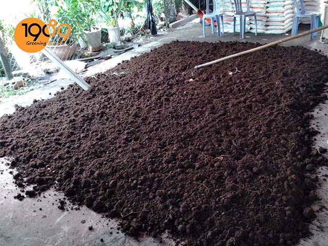 cung cấp phân trùn quế bón chất lượng cao