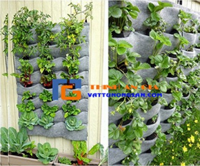 Tủi vải trồng cây - Giải pháp trồng rau cho không gian nhà chật, hẹp