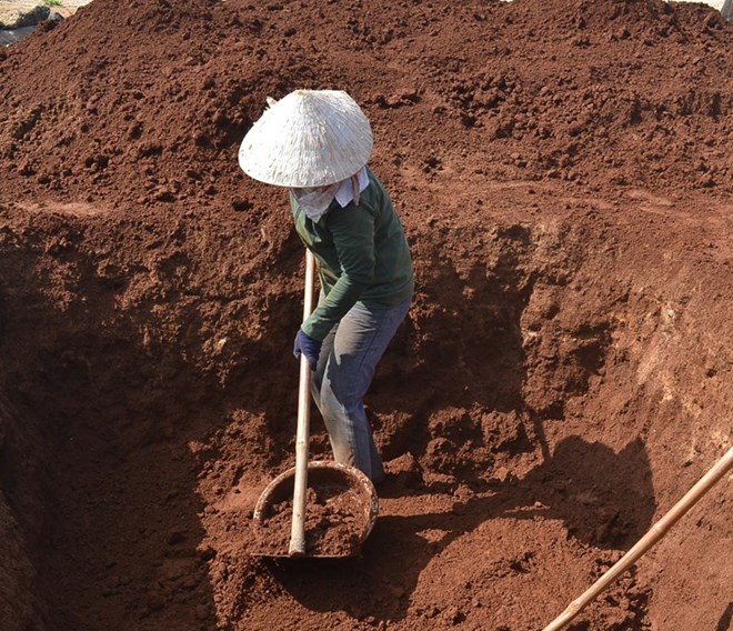 Đất Thịt Pha Sét: Đặc Điểm, Cải Tạo và Ứng Dụng Hiệu Quả trong Nông Nghiệp